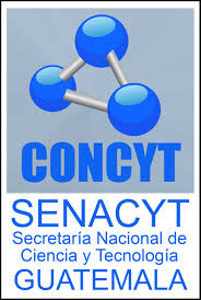 Logo Concyt
